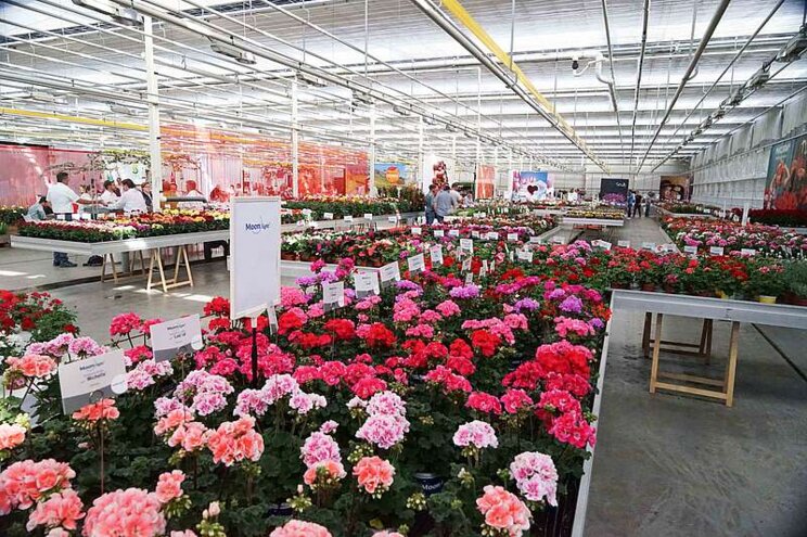 Selecta one and Evanthia will join forces at FlowerTrials 2022 Selecta one and Evanthia will join forces at FlowerTrials 2022