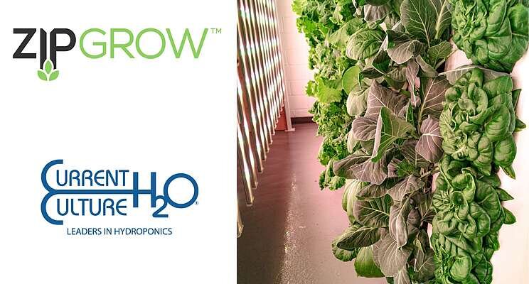 ZipGrow Inc. partners with CCH20 ZipGrow Inc. partners with CCH20