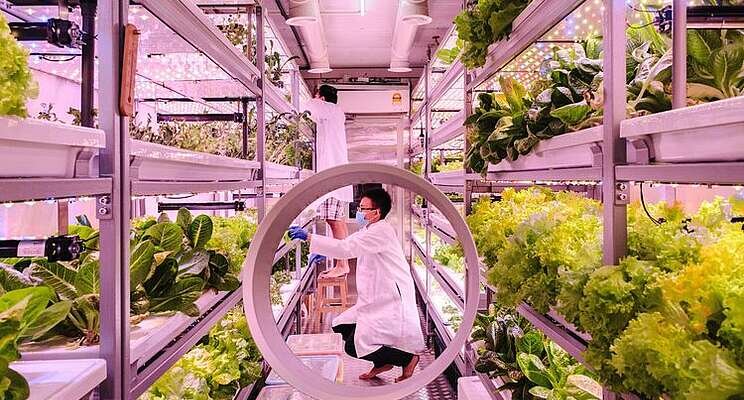 4 trends shaping the future of urban agri 4 trends shaping the future of urban agri