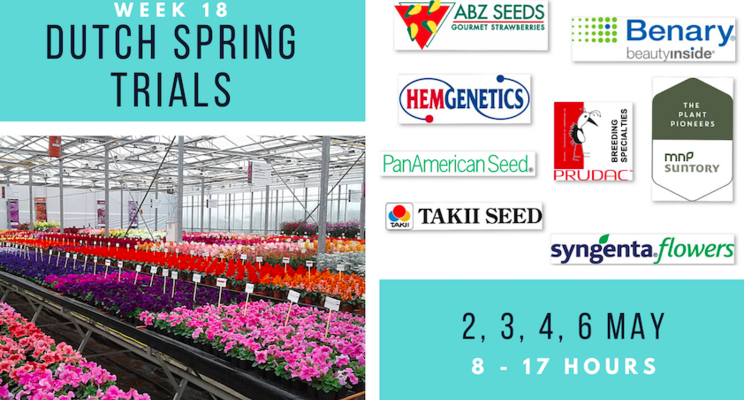 Dutch Spring Trials to take place in week 18 Dutch Spring Trials to take place in week 18