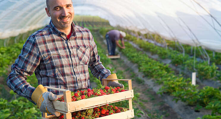 Canadian organic industry gets a boost Canadian organic industry gets a boost