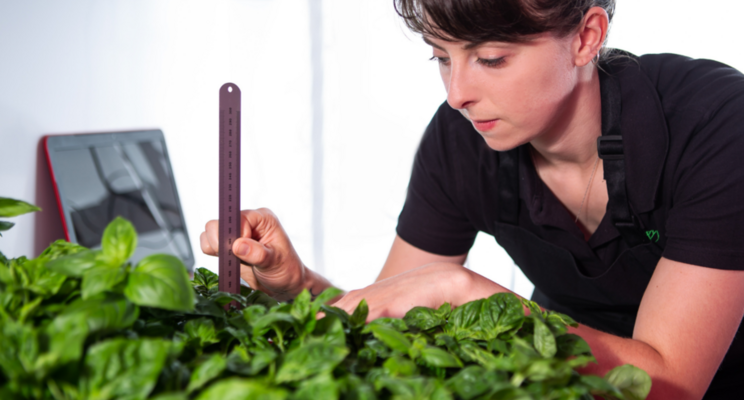 5 things to know when choosing indoor growing lights 5 things to know when choosing indoor growing lights