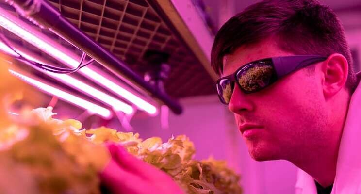 World's largest vertical farm to deliver to UK supermarkets World's largest vertical farm to deliver to UK supermarkets