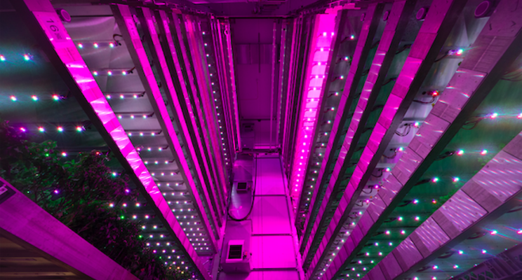 Enhancing plant growth using LED light Enhancing plant growth using LED light