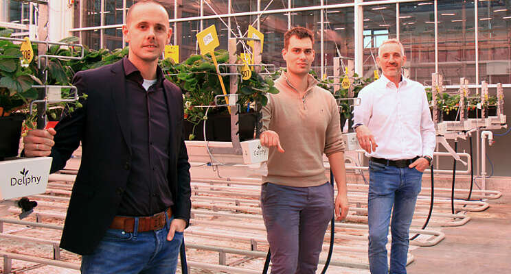 Delphy and Van der Knaap join forces Delphy and Van der Knaap join forces
