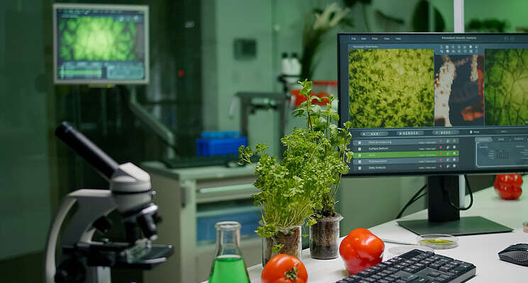 Can augmented reality actually benefit the food industry? Can augmented reality actually benefit the food industry?
