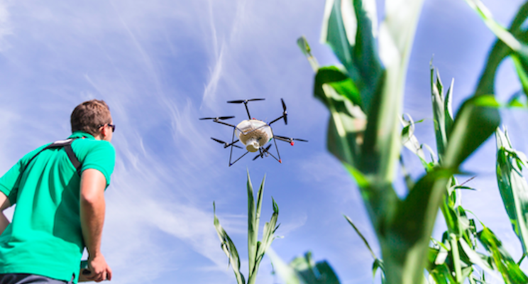 BayWa delivers excellent results again in 2021 BayWa delivers excellent results again in 2021