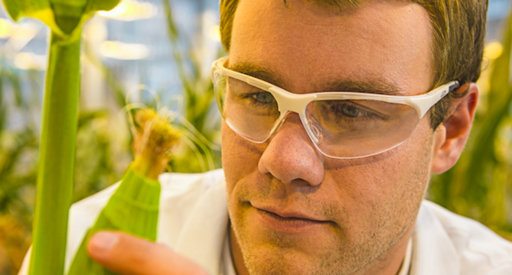 BASF increases prices for its Care Chemicals portfolio globally BASF increases prices for its Care Chemicals portfolio globally