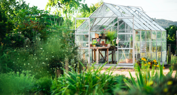 This mobile greenhouse can go anywhere and everywhere This mobile greenhouse can go anywhere and everywhere