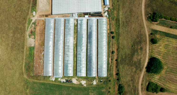Turkey's most modern greenhouse completed Turkey's most modern greenhouse completed