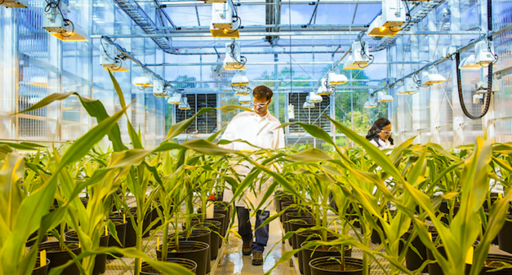 BASF to increase capacity for plastic additives in Europe BASF to increase capacity for plastic additives in Europe