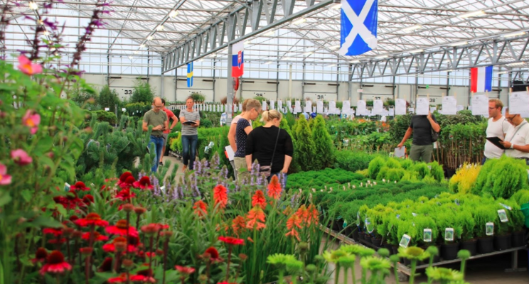 GROEN-Direkt peaks in the seasons with its seasonal fairs GROEN-Direkt peaks in the seasons with its seasonal fairs
