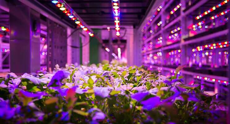 Indoor vertical farm expanding to Muncie Indoor vertical farm expanding to Muncie