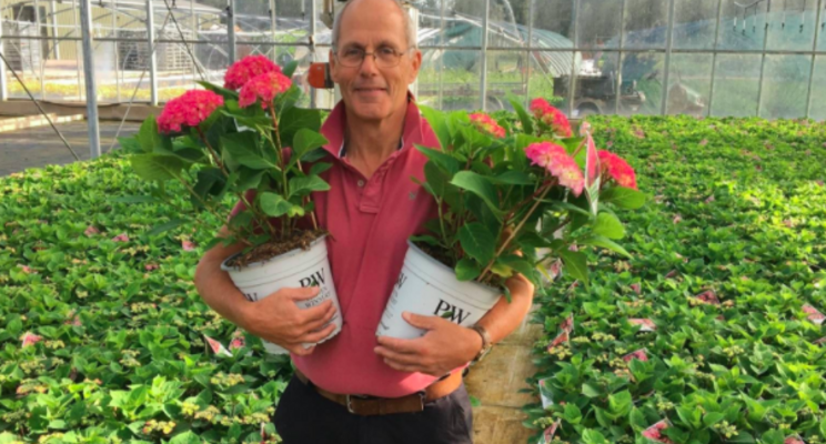 HTA White paper shows how UK horticulture can grow greener HTA White paper shows how UK horticulture can grow greener