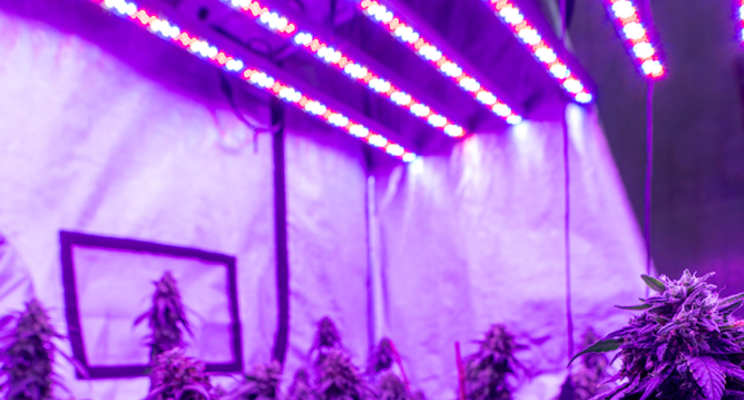 Current's new, high-intensity Arize element top lighting Current's new, high-intensity Arize element top lighting