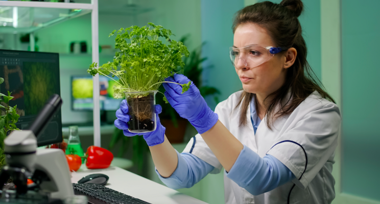 Over 60M euros for research on more efficient photosynthesis Over 60M euros for research on more efficient photosynthesis