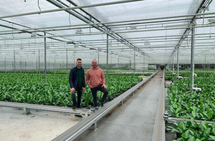 Conveyor belt system for potting, spacing and delivery Conveyor belt system for potting, spacing and delivery