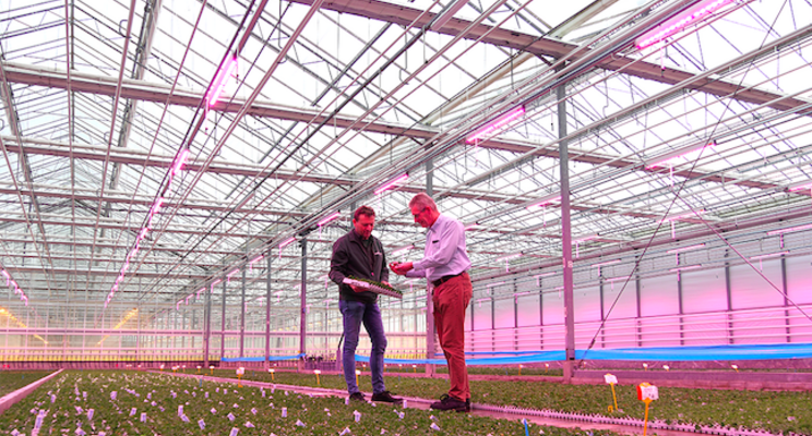 How to manage rising energy prices and switch to LED How to manage rising energy prices and switch to LED
