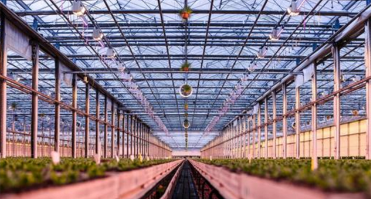 Agritech collaborations The Netherlands & Western-Canada
