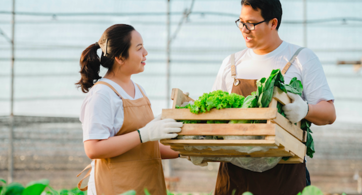 Bonnie Plants upgrades facilities for e-commerce operations