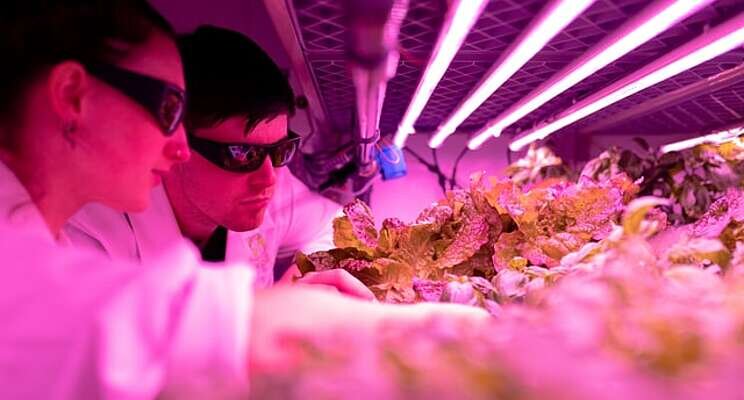 Start-up to launch one of UK's biggest vertical farms next year Start-up to launch one of UK's biggest vertical farms next year