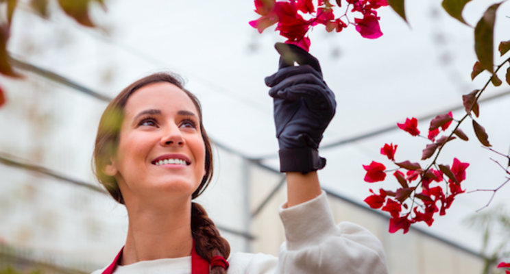 The pandemic gardening boom is just the beginning The pandemic gardening boom is just the beginning