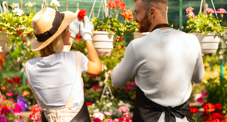 Royal Van Zanten partners with plant research company on R&D Royal Van Zanten partners with plant research company on R&D