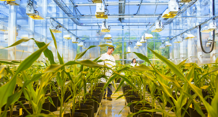 BASF increases price of additives for plastic applications BASF increases price of additives for plastic applications
