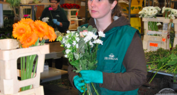 Nordic flower market steadily recovers Nordic flower market steadily recovers