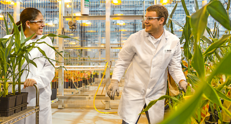 BASF acquires site for N. American battery materials BASF acquires site for N. American battery materials