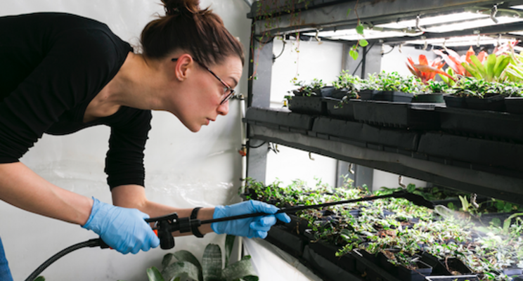 Sustainable salad is being grown in urban shipping containers Sustainable salad is being grown in urban shipping containers