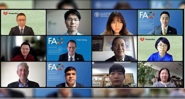 FAO China and Pinduoduo host seminar on smart agriculture FAO China and Pinduoduo host seminar on smart agriculture