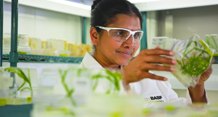 BASF builds new plant for alkylethanolamines at Antwerp BASF builds new plant for alkylethanolamines at Antwerp