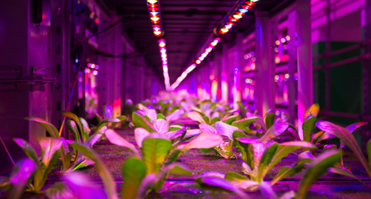 Vertical farming company lauds ALR rule change