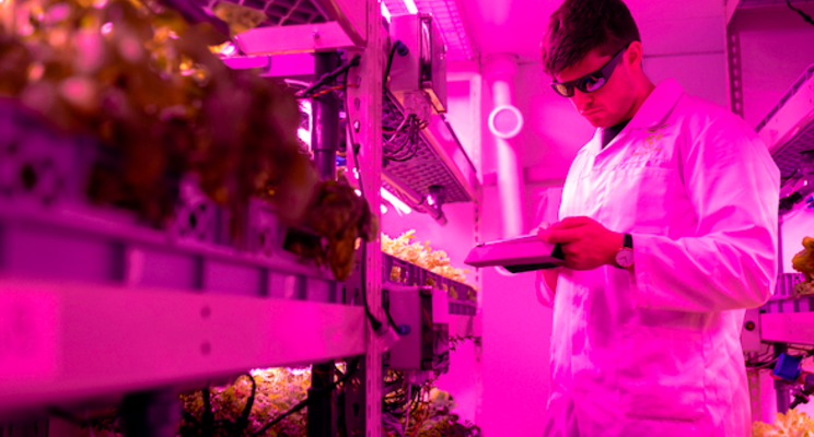 Vertical farming as a reliable food source Vertical farming as a reliable food source
