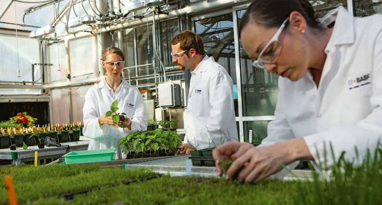 BASF Group: Reporting on the 2021 business year BASF Group: Reporting on the 2021 business year