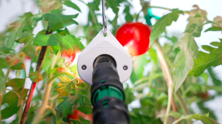 Intercanopy lighting solution VYNE for global horti market Intercanopy lighting solution VYNE for global horti market