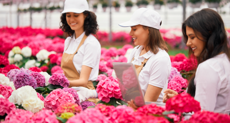 Architecture industry feeling effects of floriculture issues Architecture industry feeling effects of floriculture issues