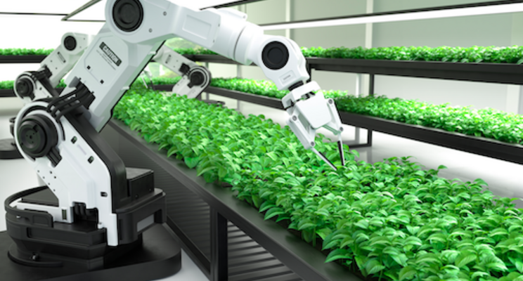 Bowery acquires robotics harvesting startup to accelerate AI Bowery acquires robotics harvesting startup to accelerate AI