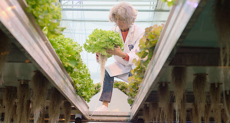 Feeding the bush from the backyard with vertical farming Feeding the bush from the backyard with vertical farming