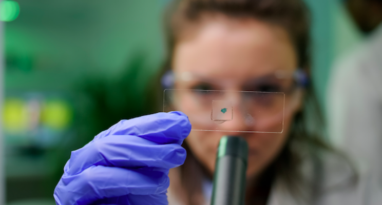 New bio control lab will strengthen pest management New bio control lab will strengthen pest management