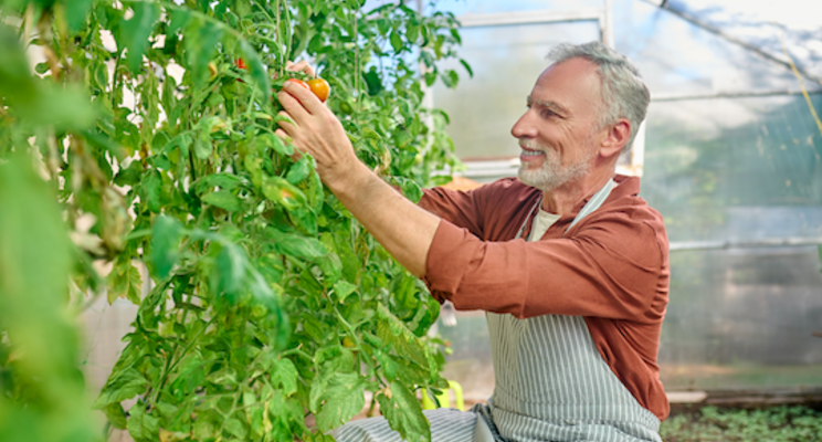 How precision irrigation can be a crop-saving investment How precision irrigation can be a crop-saving investment