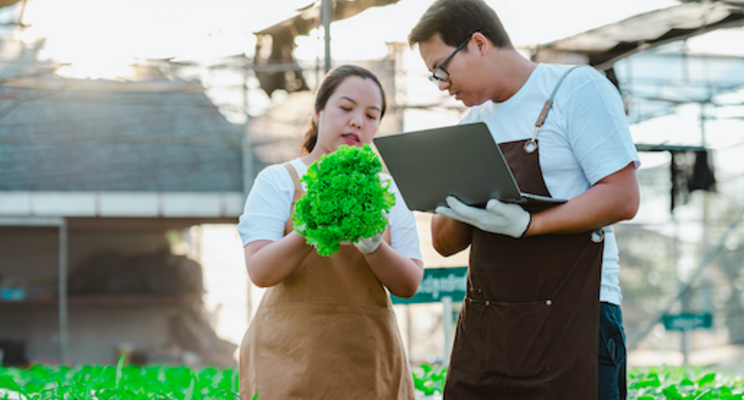 Chinese farmer invests in hydroponic farming Chinese farmer invests in hydroponic farming