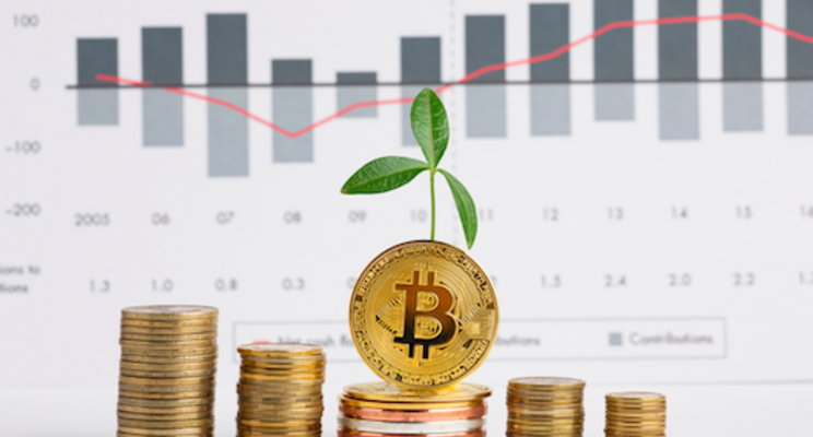 Bitcoin miner heats greenhouses in The Netherlands Bitcoin miner heats greenhouses in The Netherlands