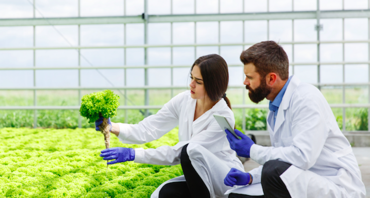Digital technology supercluster invests in autonomous agri Digital technology supercluster invests in autonomous agri