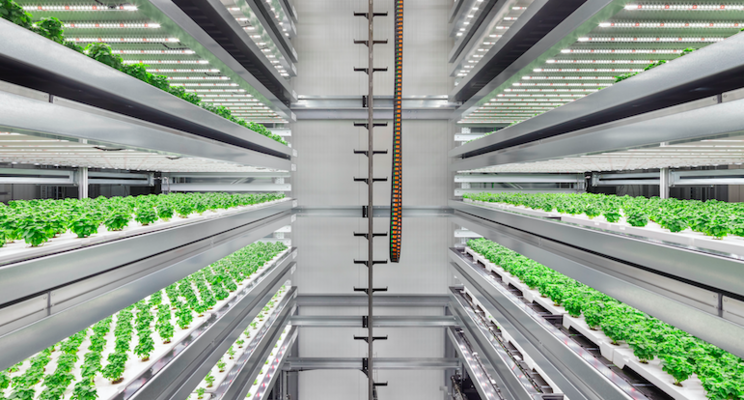 Old MacDonald's Farm no more: Companies invest in vertical agri Old MacDonald's Farm no more: Companies invest in vertical agri