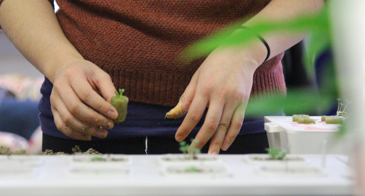 Vertical farming could take food security in Qatar to new heights Vertical farming could take food security in Qatar to new heights