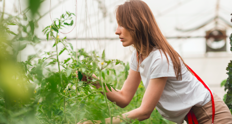 Get to know your greenhouse water Get to know your greenhouse water