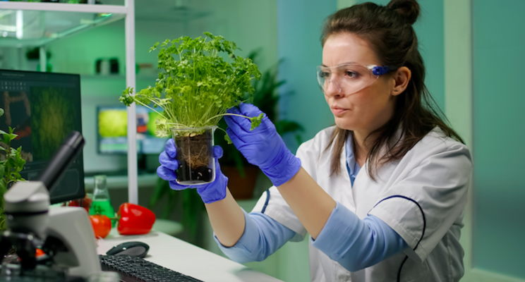 Agritech must be cost-effective to take root Agritech must be cost-effective to take root