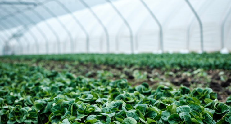 Premier Tech invests over $18M to grow two facilities Premier Tech invests over $18M to grow two facilities